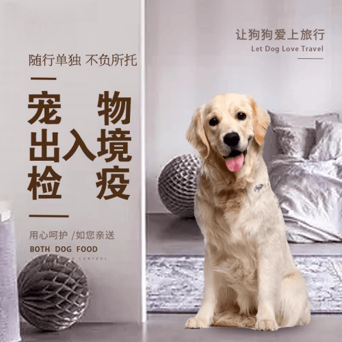烟台宠物托运到哥伦比亚猫狗宠物入境规定和