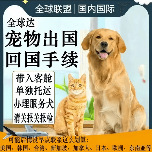烟台宠物托运到柬埔寨宠物入境规定和要求